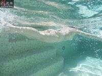 國模《王馨漪》包養渡假流出 不雅照 (188P)