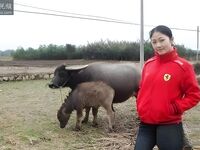 柳州豔照門 莫菁 生活照 (86P)