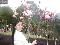 柳州豔照門 莫菁 生活照 (86P)