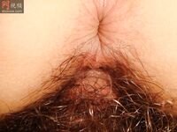 柳州豔照門 莫菁 不雅照 (122P)