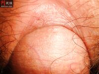 柳州豔照門 莫菁 不雅照 (122P)