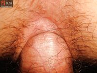 柳州豔照門 莫菁 不雅照 (122P)